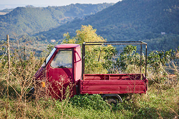 Das kleine Rote